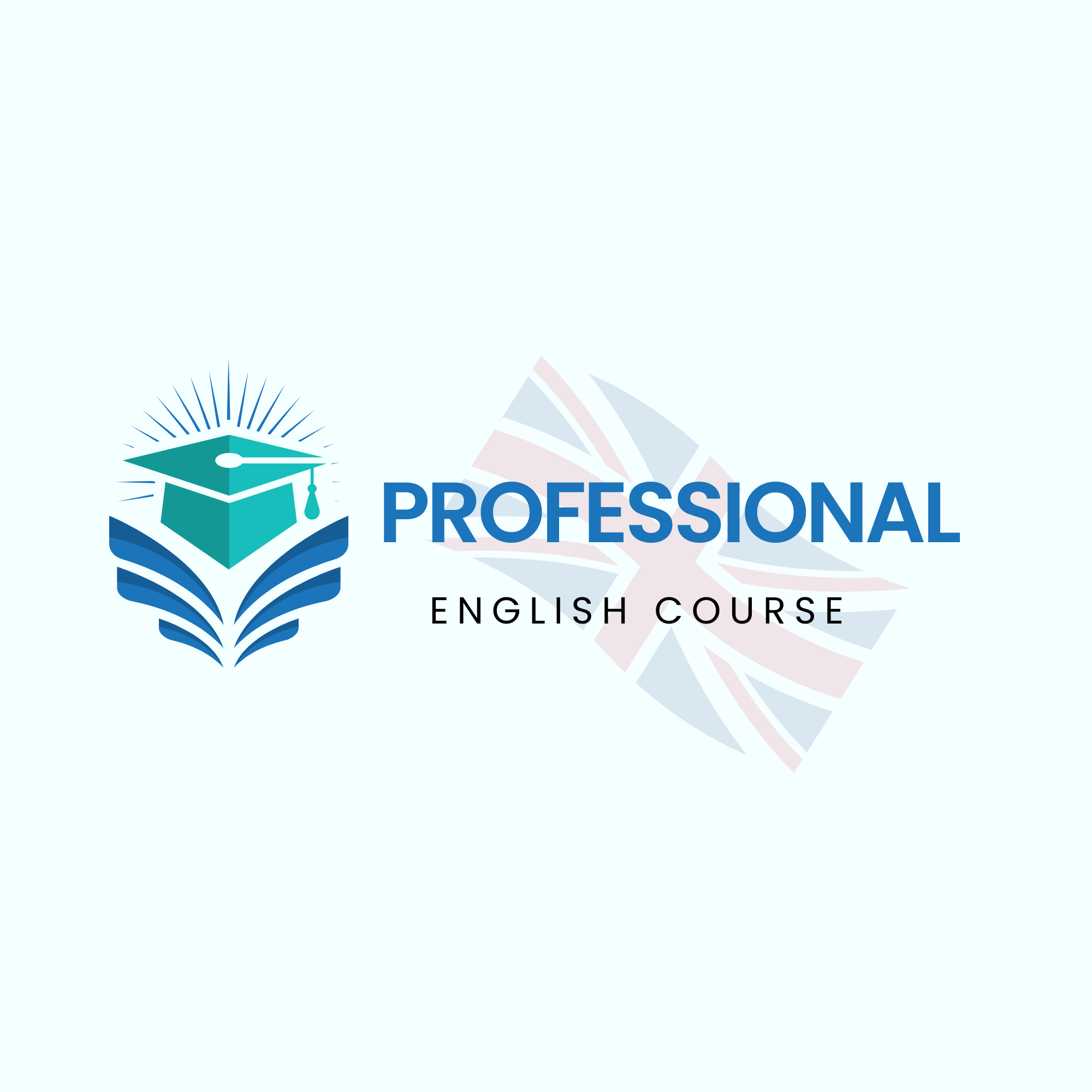 Programme anglais professionnel